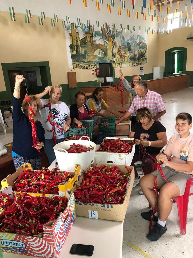 Actividades de la Feria del Pimentón y relacionadas con la celebración