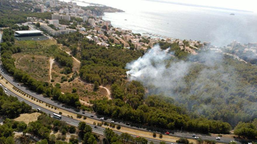 Waldbrand zerstört 0,7 Hektar bei Palma