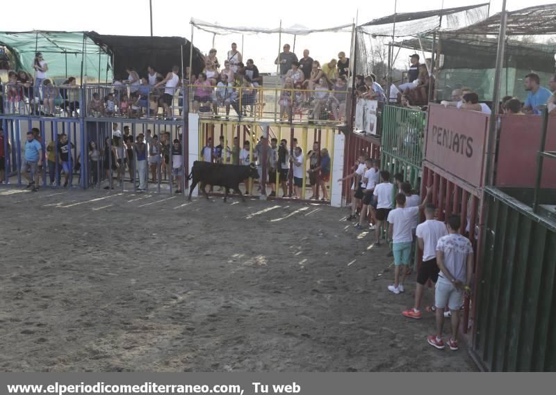 Fiestas de Agosto en Castellón