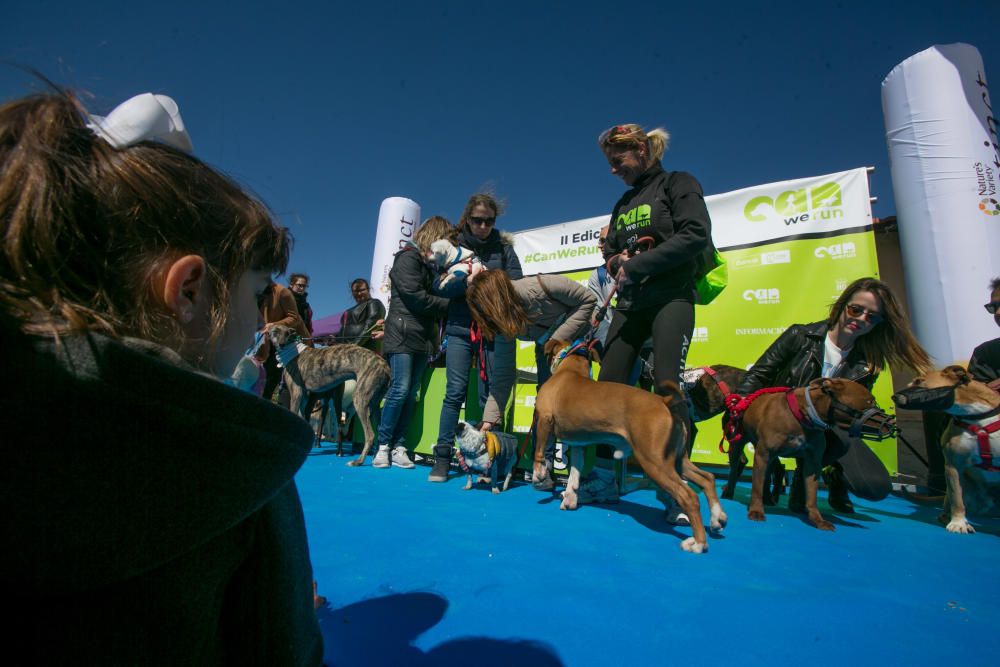 Can We Run: Gran carrera de perros para la concienciación animal