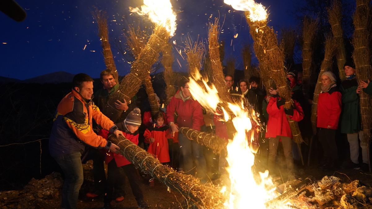 Fia-faia de Sant Julià de Cerdanyola el 2023