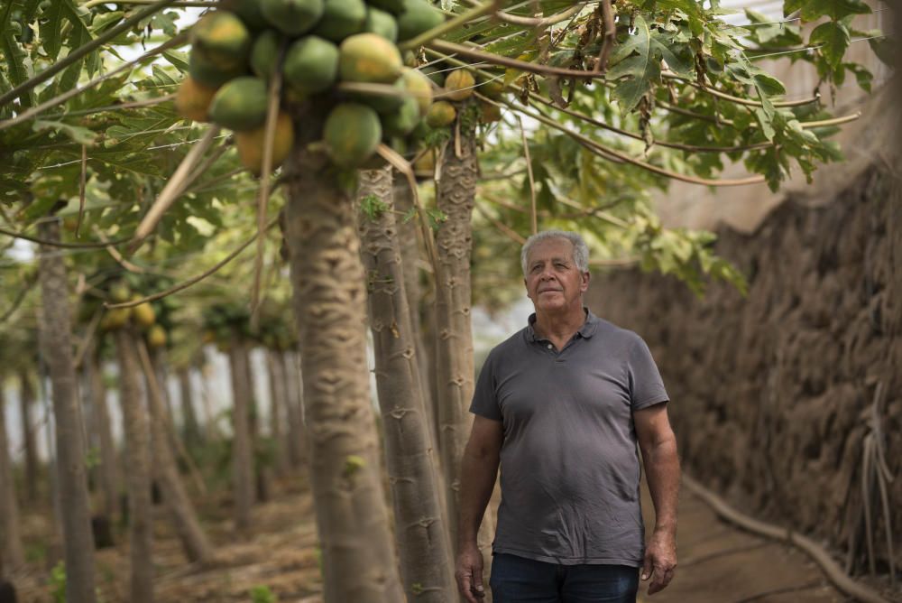 Agricultores Juan R.n Lorenzo y Francisco González