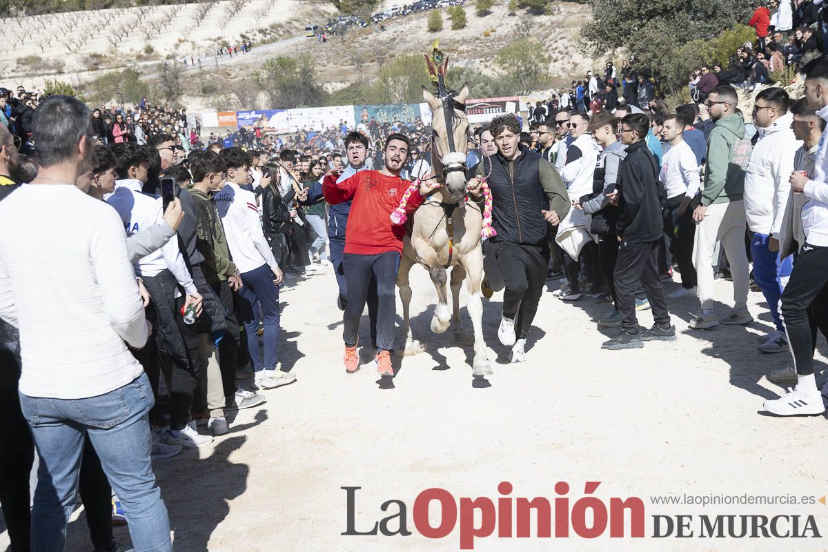 Los Caballos del Vino de Caravaca calientan motores