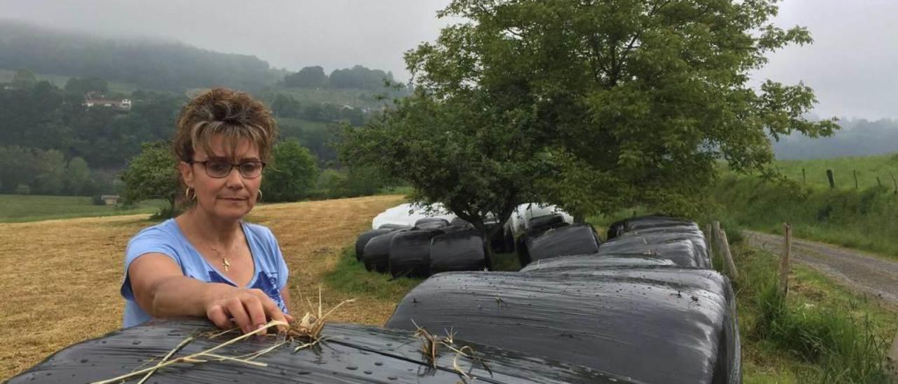 María Anita Barredo muestra varios rollos de silo picoteados en su finca de Llames de Parres, ayer.