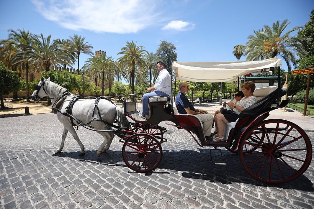 Nueva normalidad en Córdoba: la Judería despierta al turismo