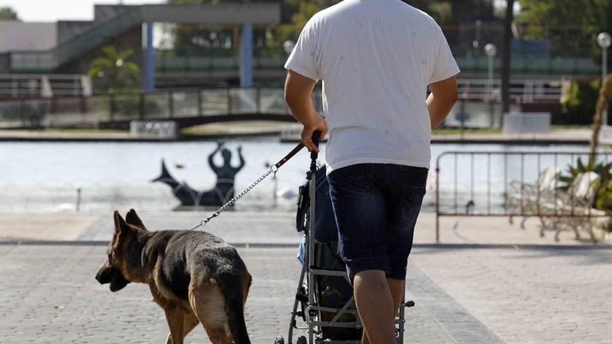 La Policía Local ha puesto una media de 285 multas al año por no recoger las cacas de perro.