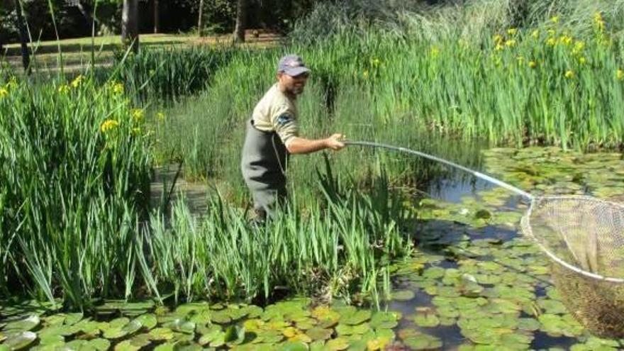 La biodiversidad entendida por la concejalía en el estanque de La Rambleta.