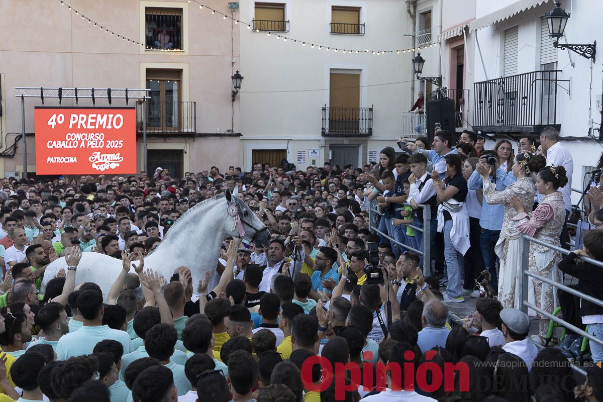 Fiestas de Caravaca | Entrega de premios del concurso morfológico