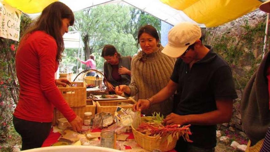 La asociación celebró recientemente un gran intercambio de semillas en la localidad de San Miguel.