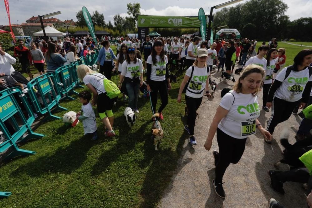 "Can We Run" reúne a más de 400 perros y corredores en el Parque Fluvial de Viesques, en Gijón.