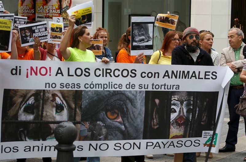 Protesta para prohibir el maltrato de animales