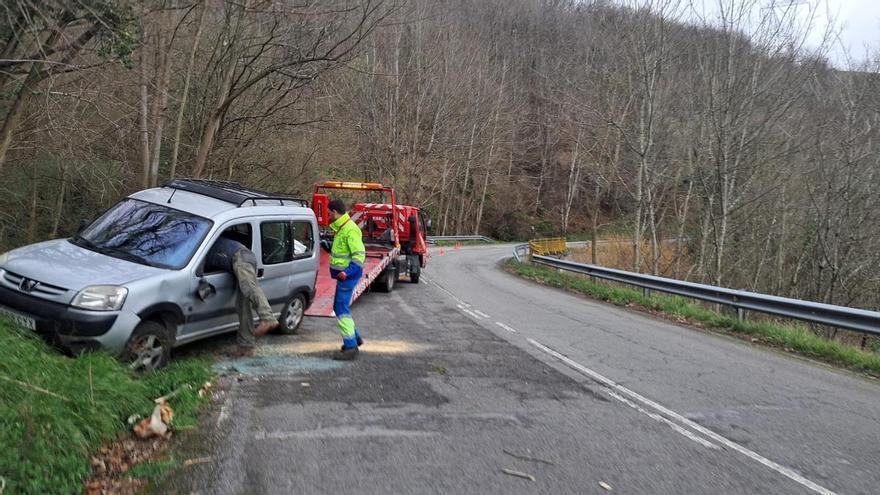 Susto en Mieres: una madre que llevaba al colegio a sus hijos de 9 y 5 años sufre un aparatoso accidente de tráfico por culpa de un jabalí