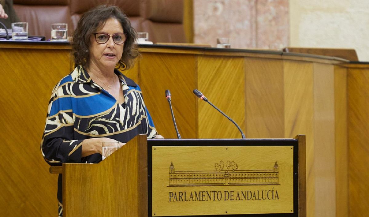 La consejera de Salud y Consumo de la Junta de Andalucía, Catalina García, en el Parlamento andaluz, en una imagen de archivo.