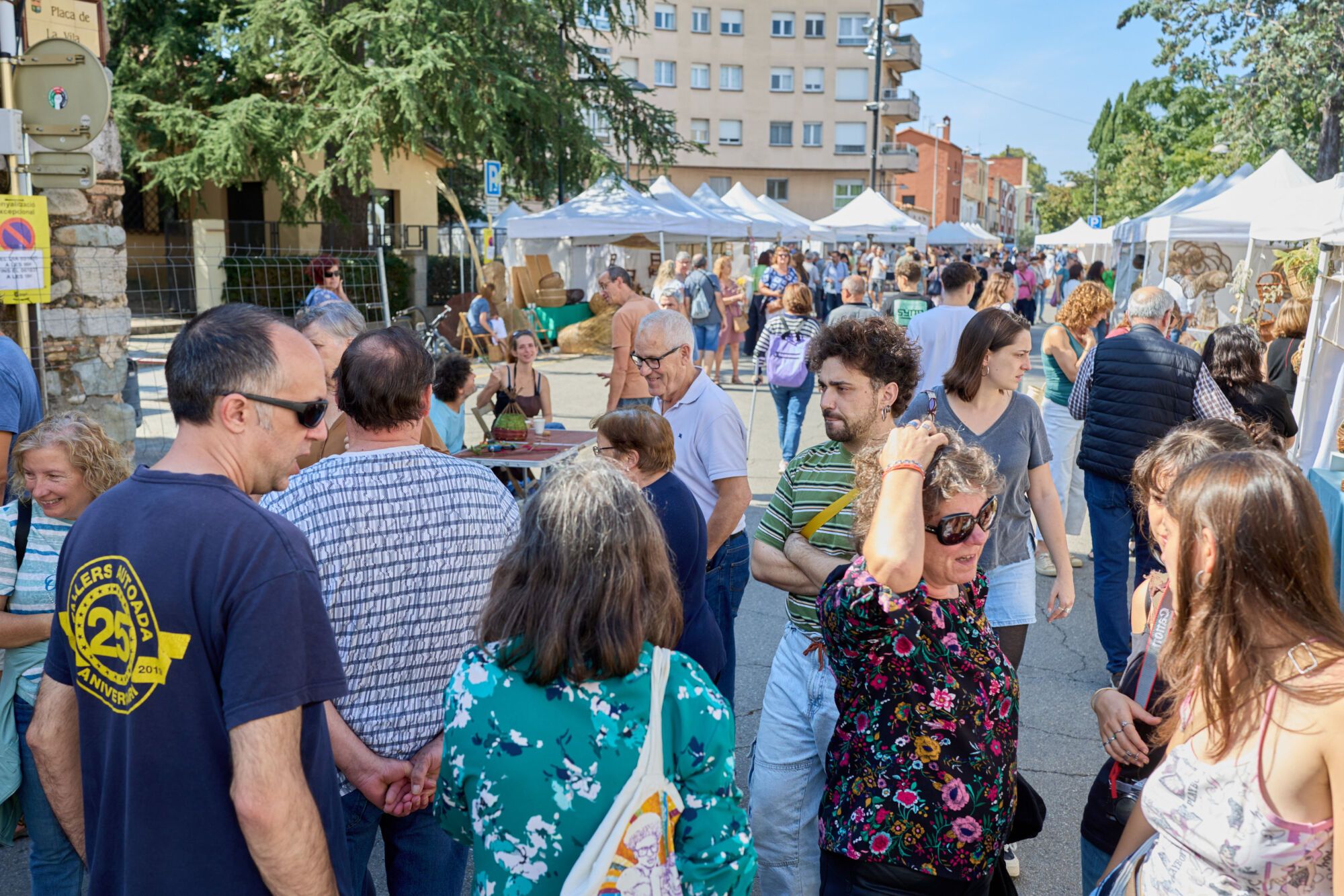 La Fira del Cistell a Salt