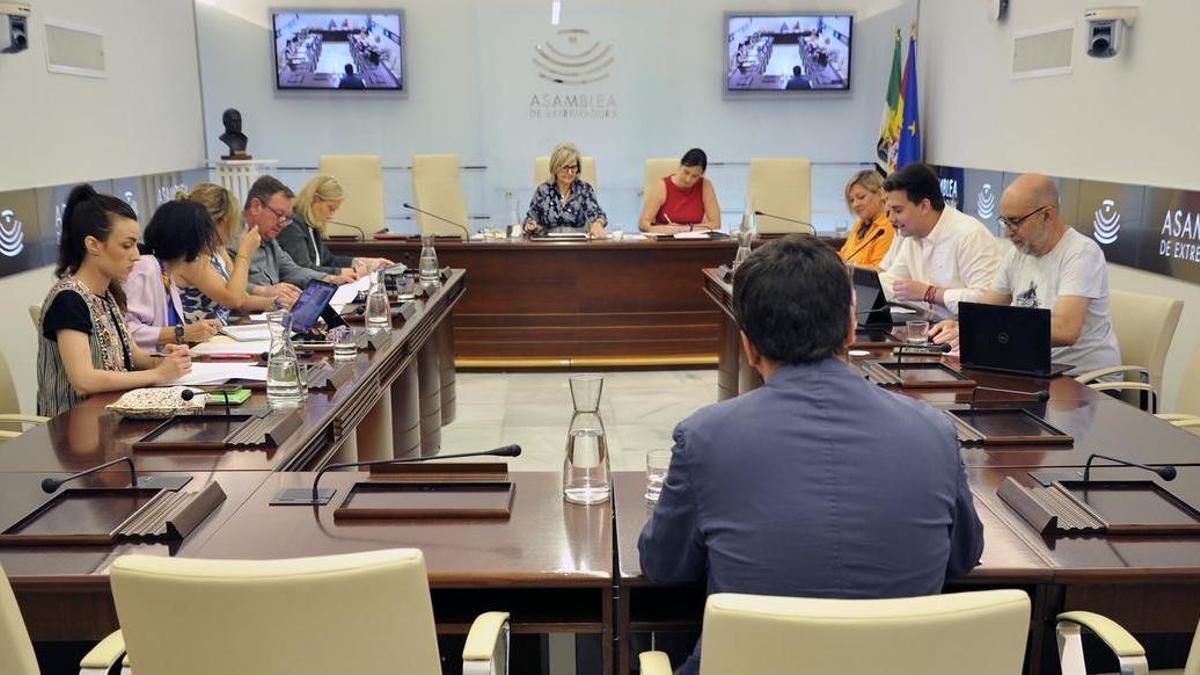 Comisión de Desregulación, Servicios Sociales y Familia, este martes.
