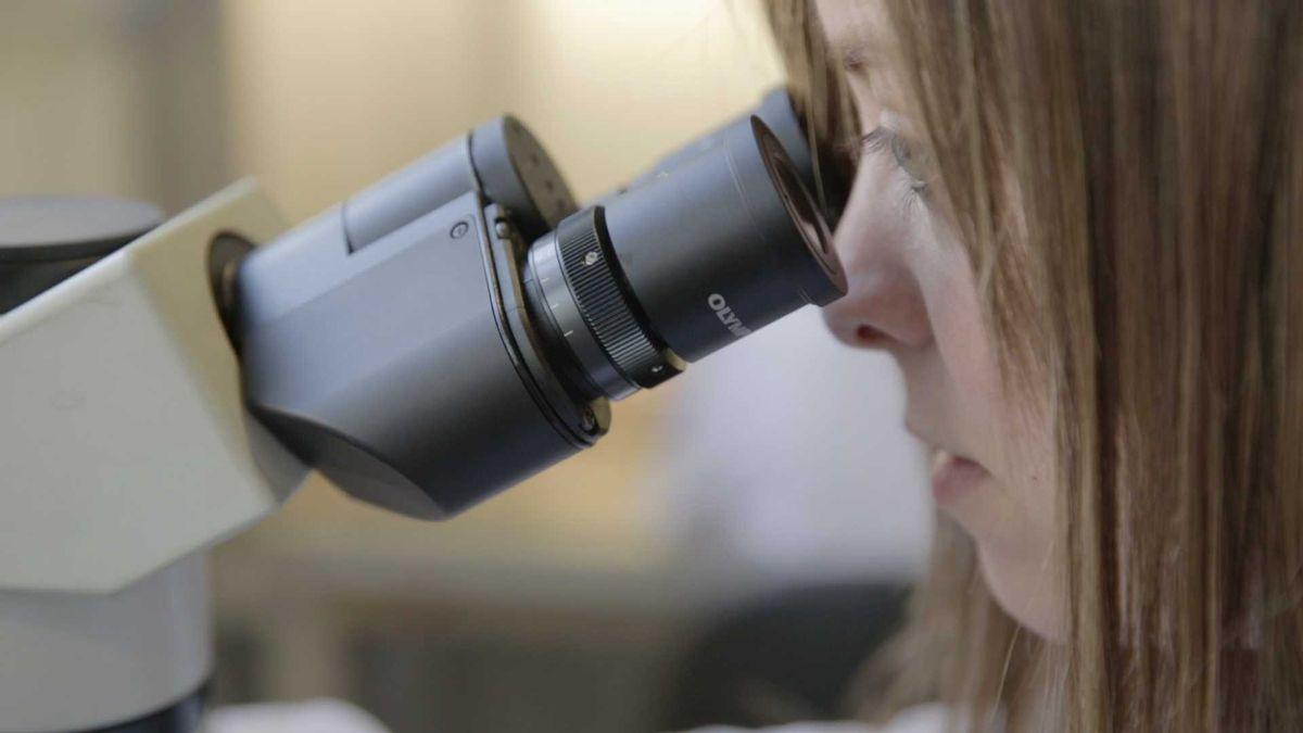 Los últimos avances del cáncer ponen el foco en las terapias dirigidas.