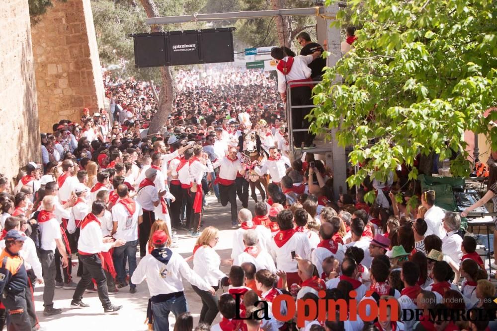 Carrera de los Caballos del Vino