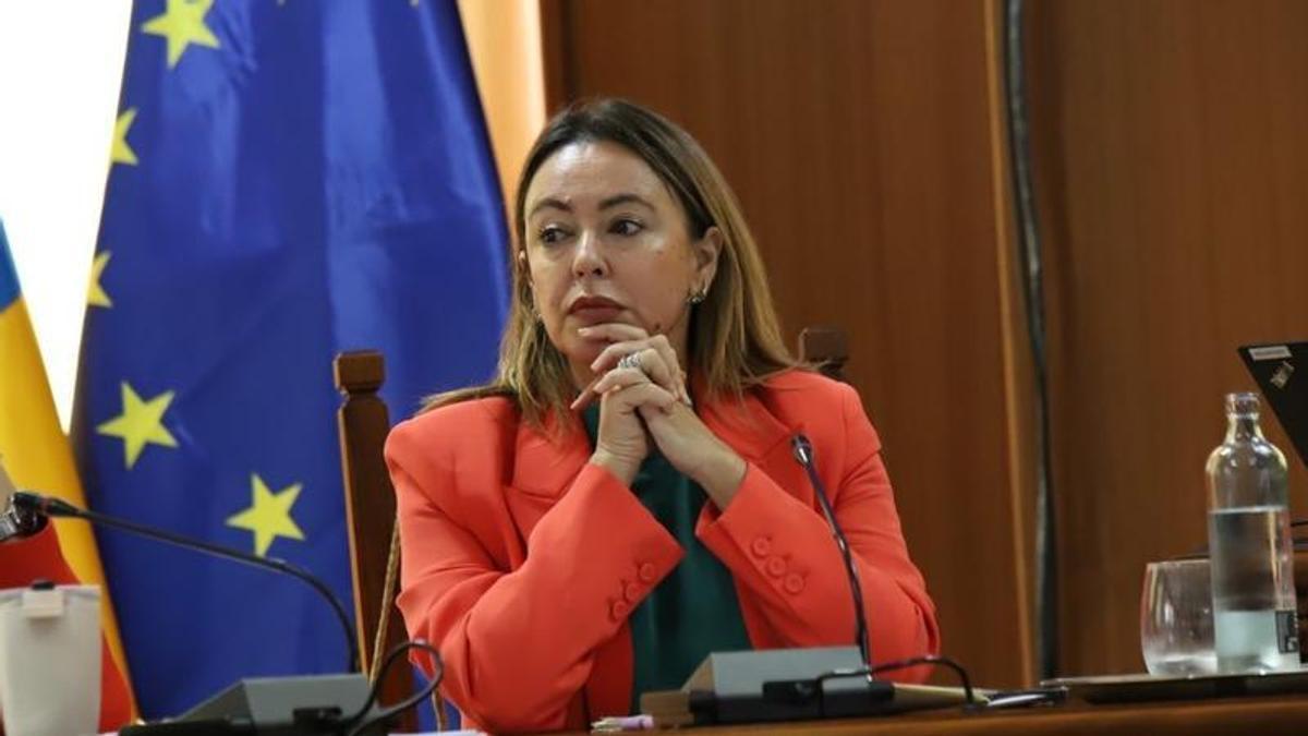 María Dolores Corujo en un pleno del Cabildo de Lanzarote.