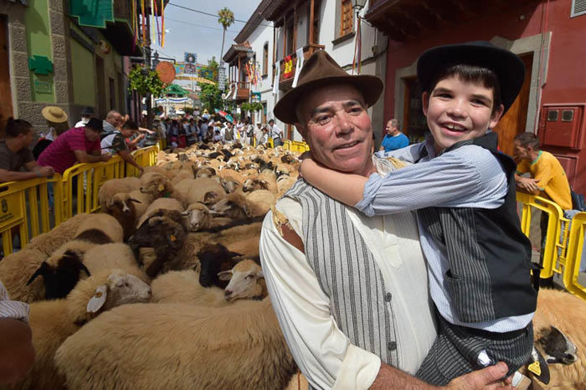 Carretas y grupos en la romería del Pino