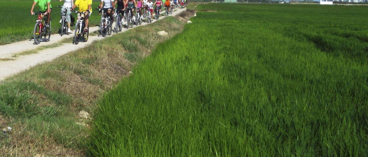 Un grupo de ciclistas transita por una zona rural en el término municipal de Tavernes de la Valldigna incluida en los marjales que rodean su zona litoral.                                                      levante-emv