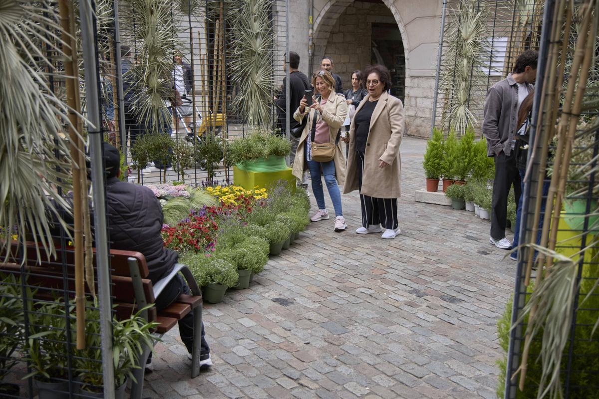 Les imatges de l'últim dia de Temps de Flors