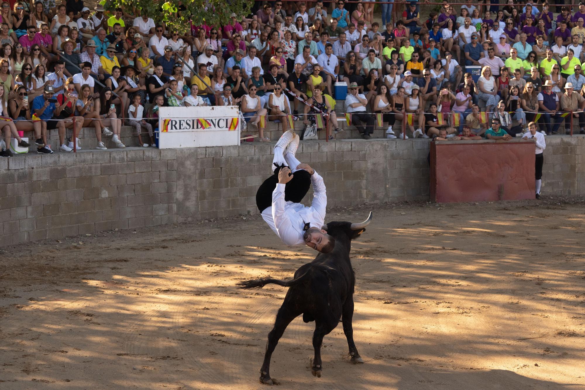 GALERÍA | Impresionante exhibición de cortes en Coreses