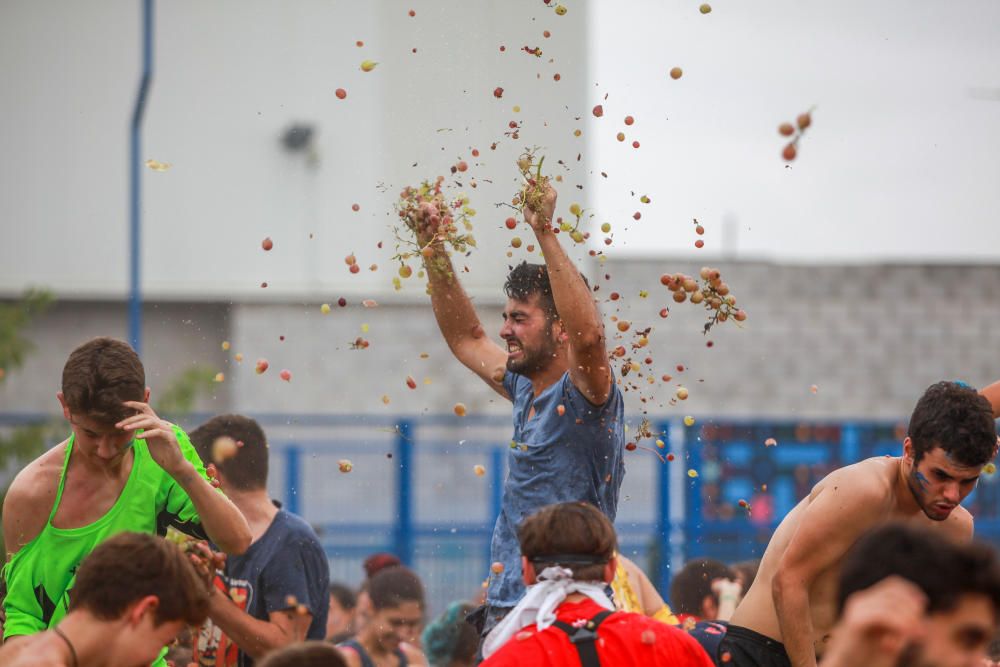 La batalla de los 18.000 kilos de uvas en Binissalem