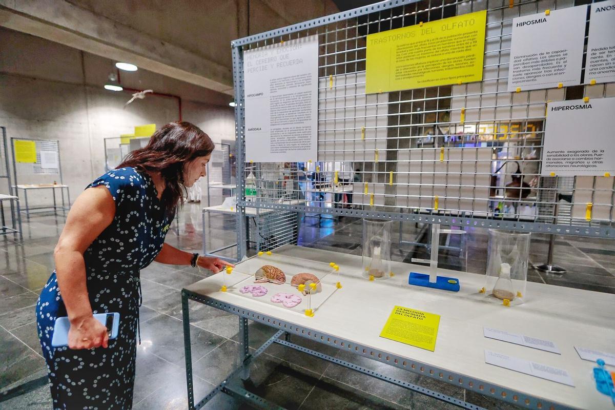 Reportaje de la exposición Oler para creer, una muestra que propone un recorrido por el universo del olfato desde una perspectiva científica, cultural y sensorial.  | 02/07/2026 | Fotógrafo: María Pisaca Gámez | [idTask=265900] [Pinakes=3759587]