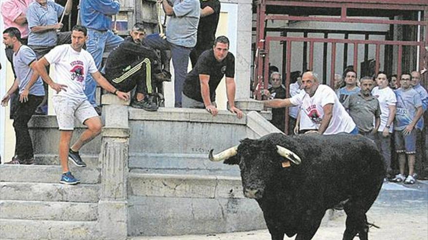 Llucena se engalana para dedicar a sus patronos ocho días festivos