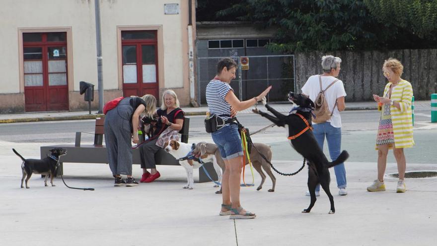 Usuarios del parque canino se concentraron ante el consistorio el pasado verano. |  // BERNABÉ