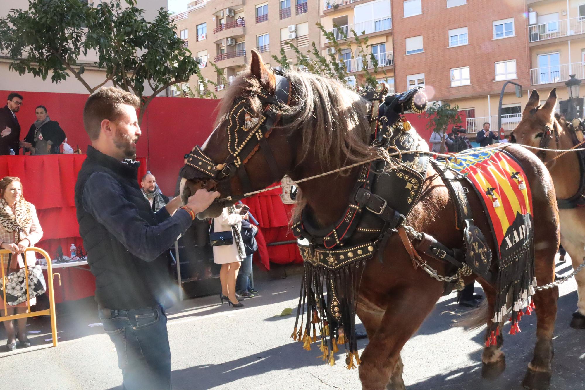 Perros policía y animales de granja completan el desfile de Sant Antoni en València