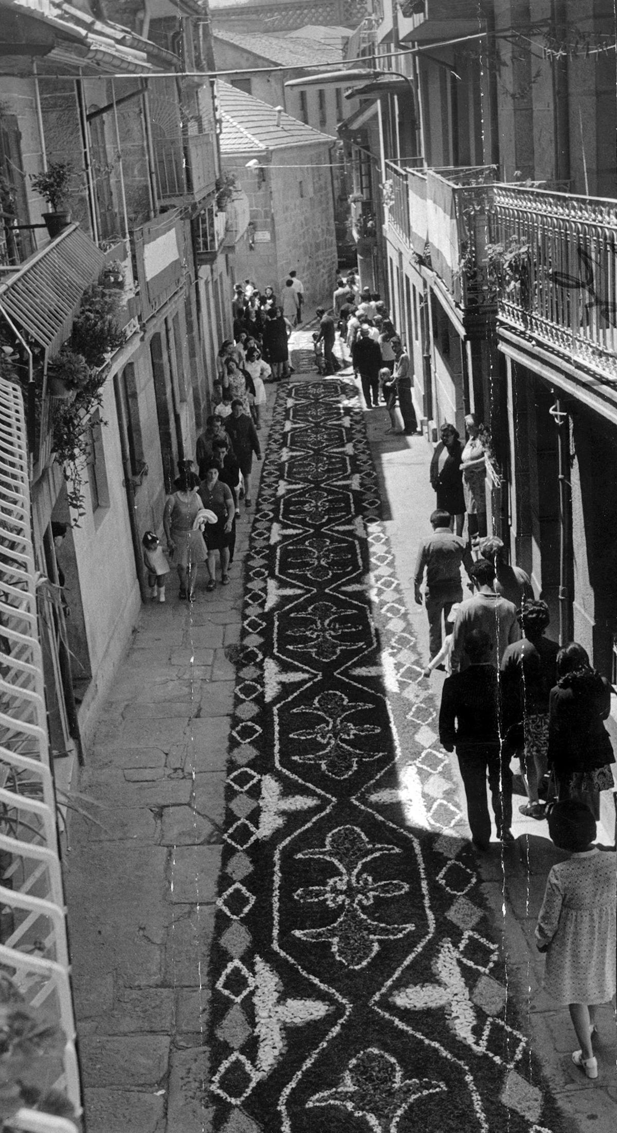 Alfombra floral con motivo de las Festas da Coca y el Corpus Christi, en 1972.