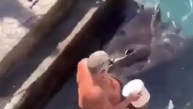 La sorprendente relación de un pescador con una enorme raya en un muelle de La Gomera