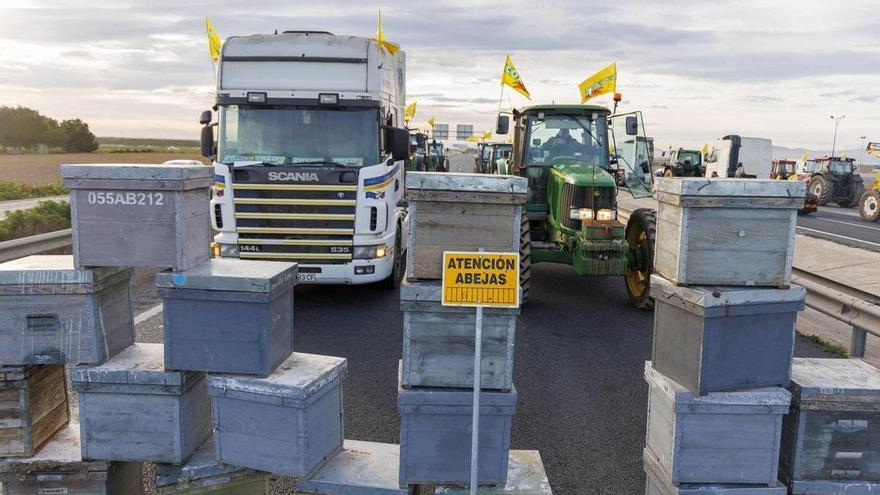 El Gobierno regional y los eurodiputados murcianos celebran la aprobación de las salvaguardas de Mercosur