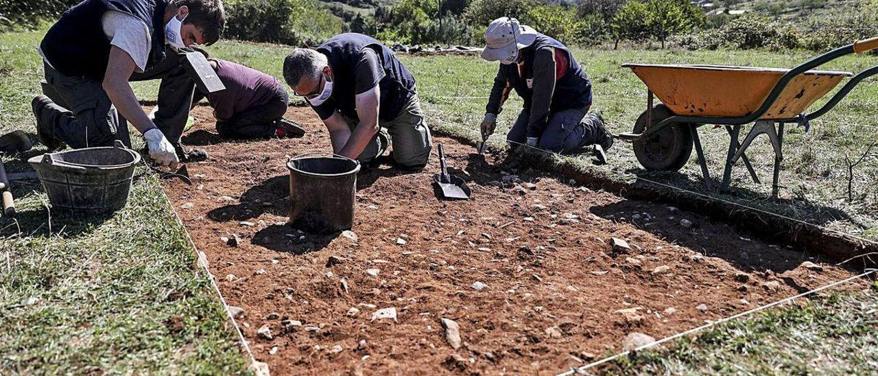 Primeros trabajos de la nueva campaña de excavación en La Estaca, ayer por la mañana.