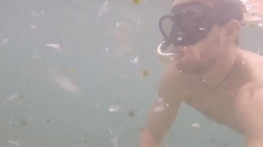 Un fotograma del vídeo del biólogo marino Alberto (thewildpassport) en Instagram.