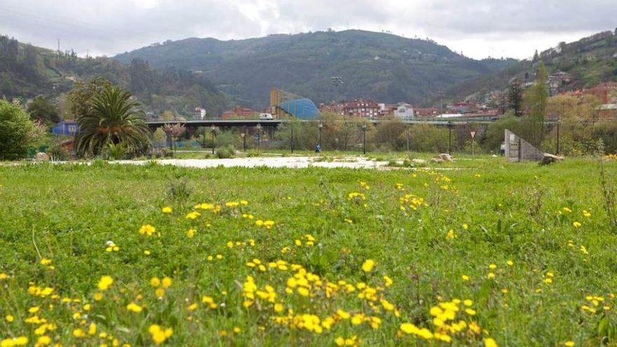 La parcela en la que se proyecta habilitar huertos urbanos.