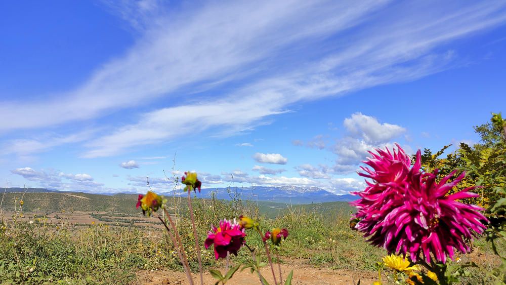 Fred, núvols i flors.