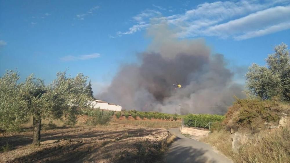 Incendio forestal en Bolbaite