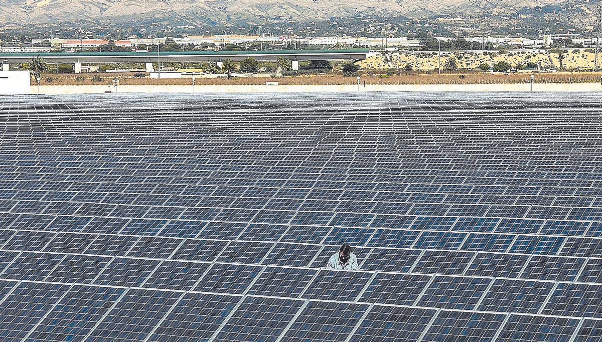 Planta fotovoltaica de la Cooperativa de Crevillent en Elx-