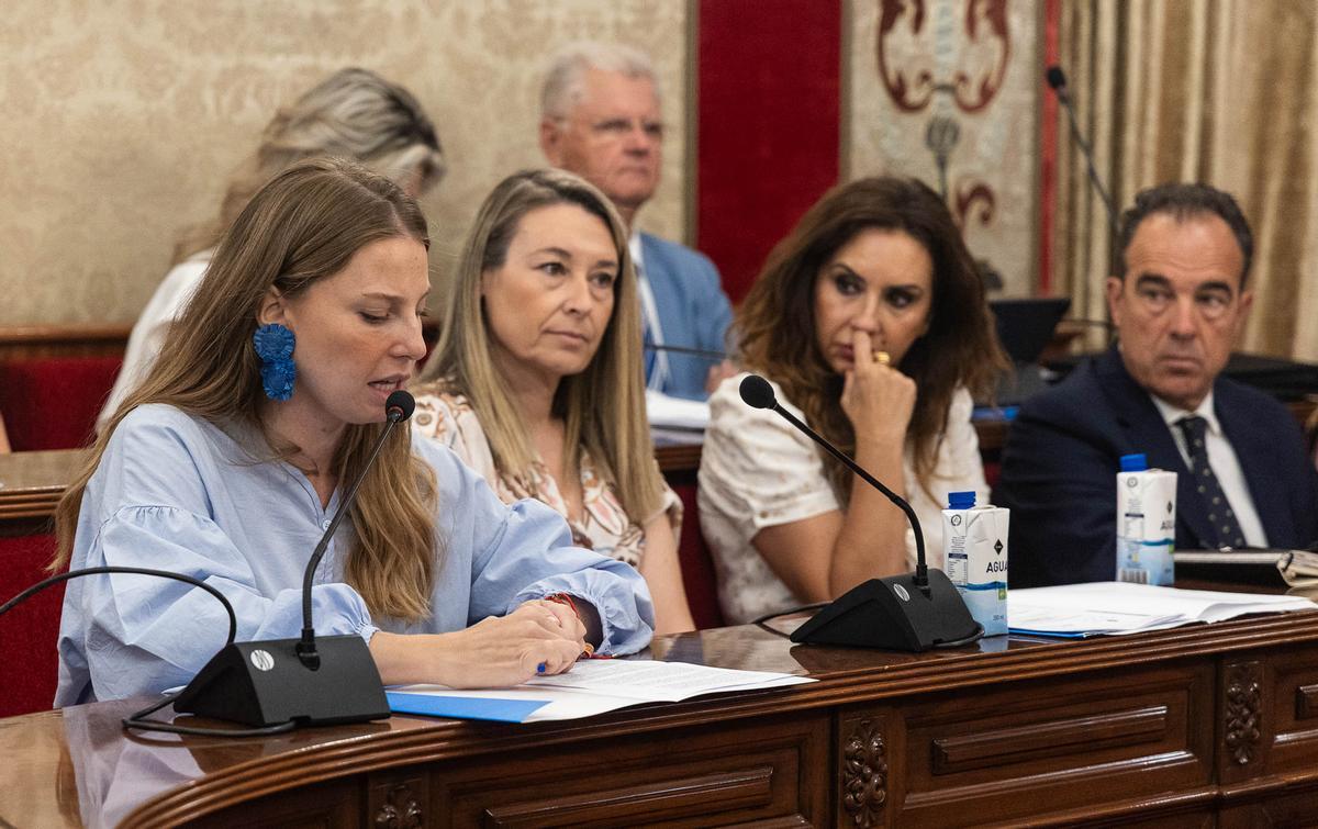 Las imágenes del Pleno Extraordinario del Ayuntamiento de Alicante