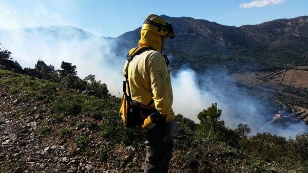 Imatges de la zona de l'incendi