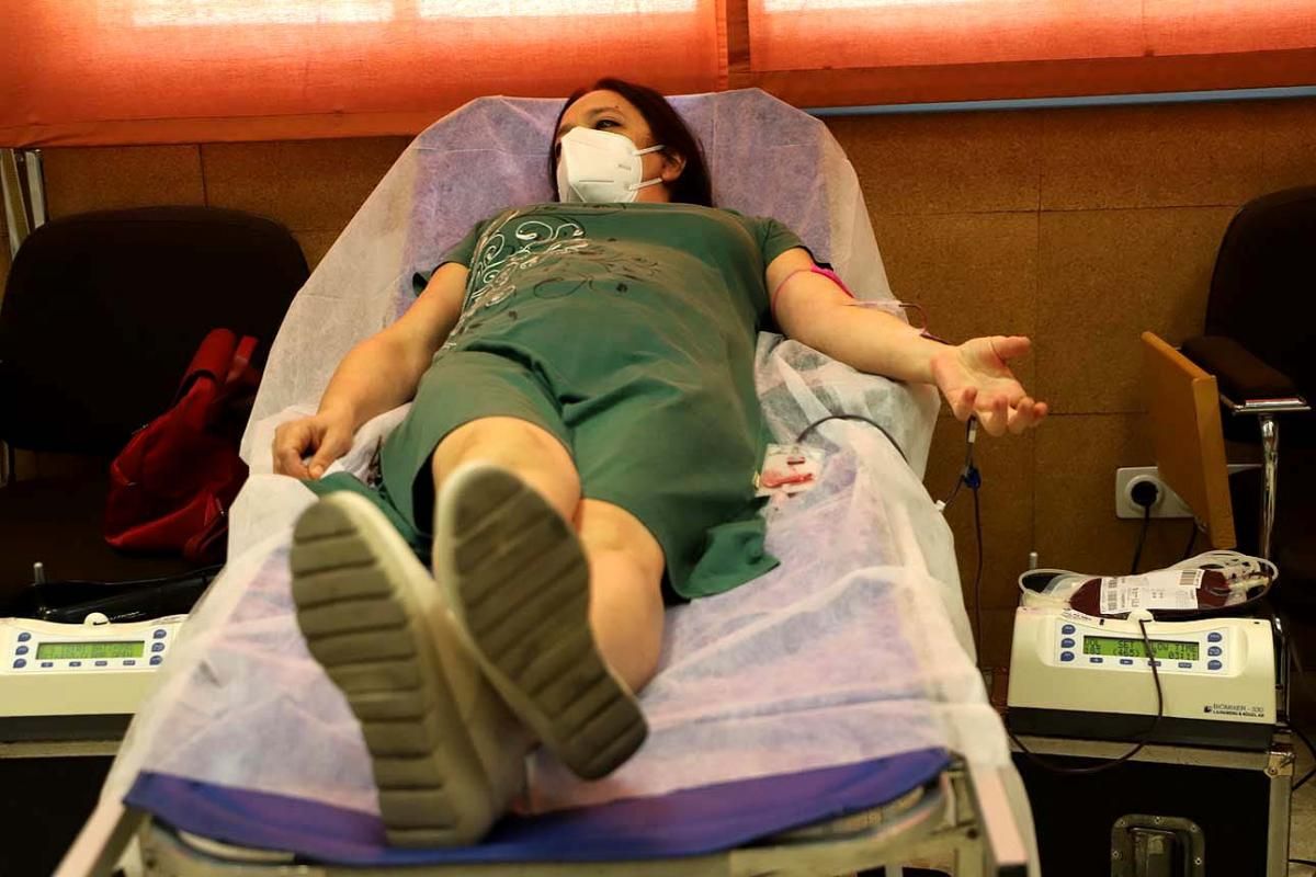 Semana del Donante: campaña especial de donación de sangre y de plasma