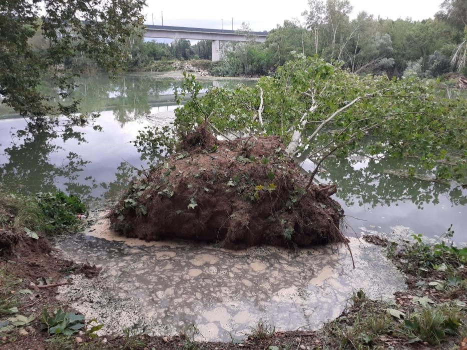 Una forta tempesta de calamarsa i vent afecta part de l'Alt Empordà