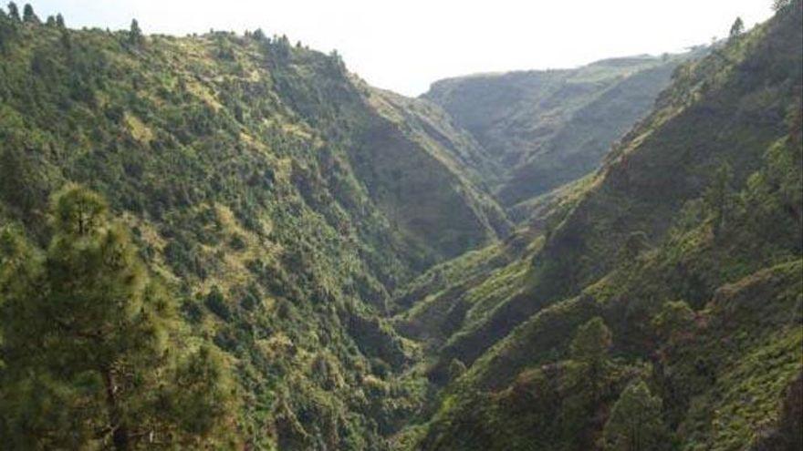 Herido grave un joven tras caer desde una altura de 12 metros en La Palma