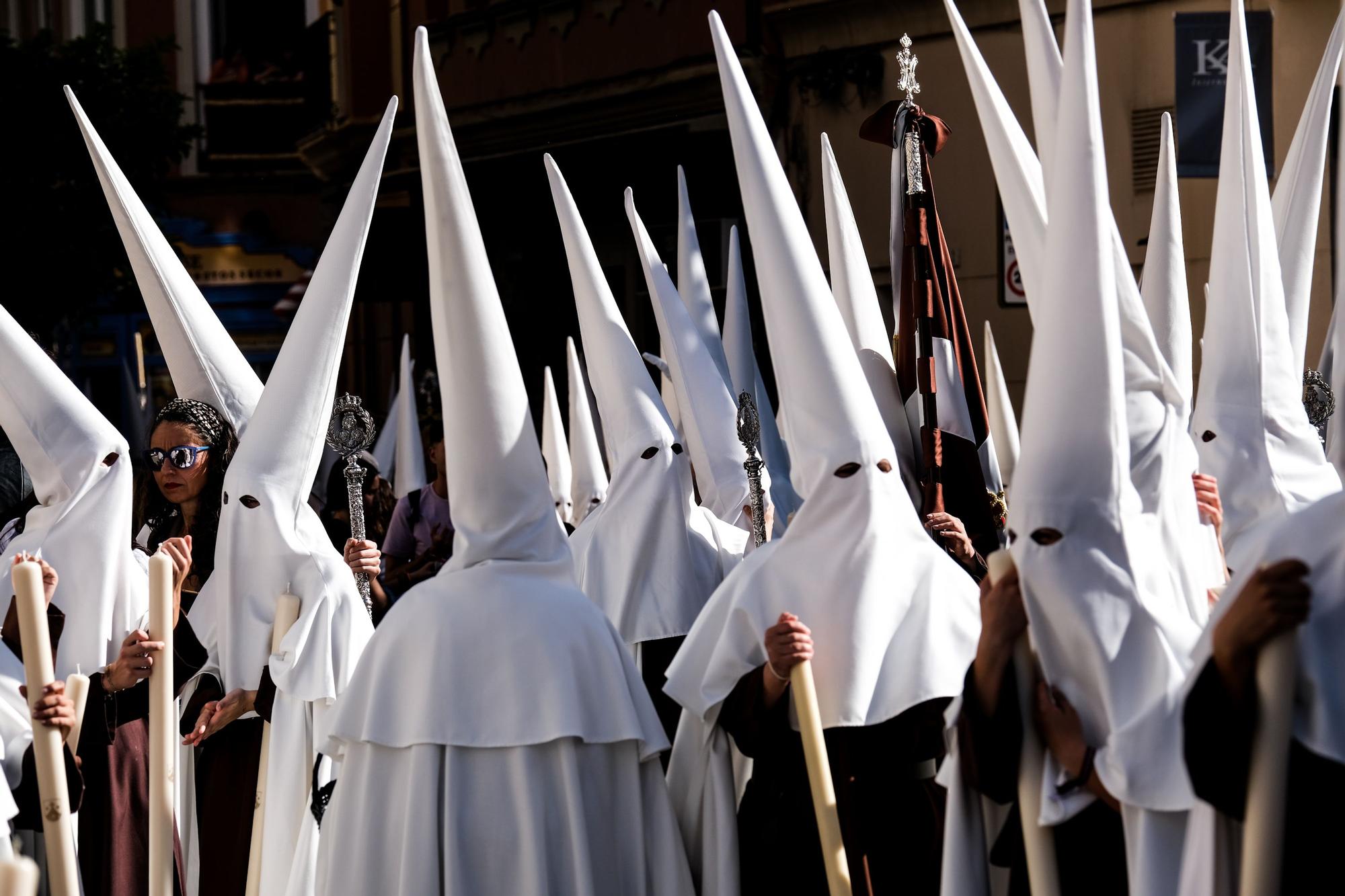 Humidad y Paciencia | Domingo de Ramos 2023