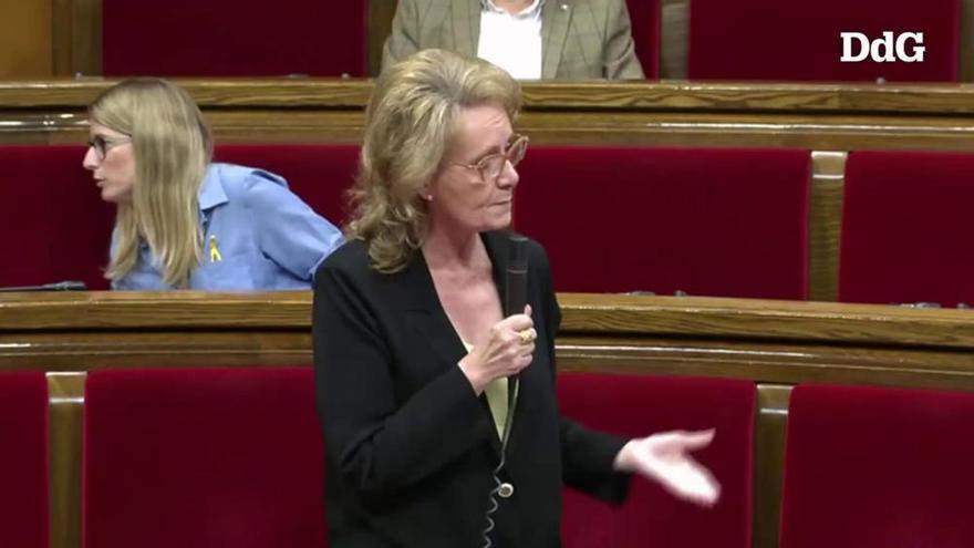 Vilallonga creu que també hi ha «massa castellà» al Parlament