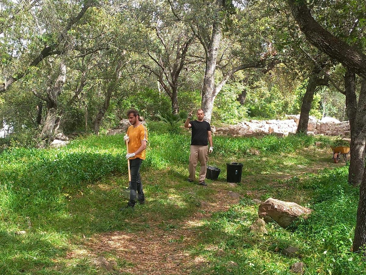 Limpieza con el rastrillo en ses Païses (Artà)