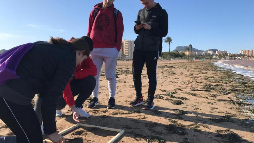 Estudiantes de Bachillerato limpian basura marina en el Mar Menor