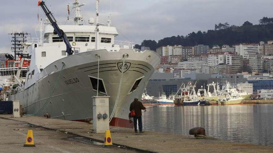 Los buques de Malvinas (con el &quot;Igueldo&quot; en primer plano) reposan estos días en Beiramar. // Ricardo Grobas